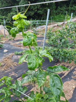 이문규님의 자유주제 · 자유게시판 작성글 사진