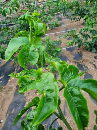 이문규님의 자유주제 · 자유게시판 작성글 사진