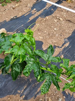 이문규님의 자유주제 · 자유게시판 작성글 사진