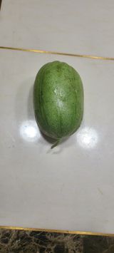 팜모닝 자유주제·자유게시판 게시글 이미지