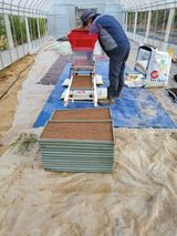 팜모닝 벼·병해충상담 게시글 이미지