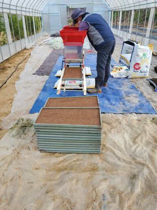 광주당근님의 벼 · 병해충상담 작성글 사진