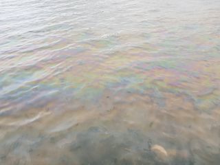 수기님의 자유주제 · 자유게시판 작성글 사진