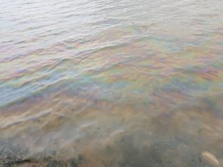 수기님의 자유주제 · 자유게시판 작성글 사진