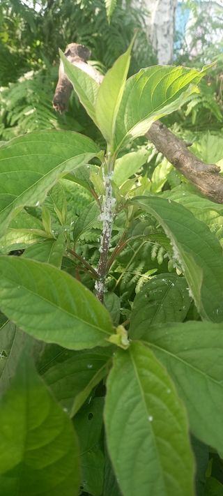 김근수회원님의 자유주제 · 자유게시판 작성글 사진