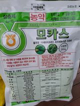 팜모닝 감·자유게시판 게시글 이미지