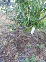 팜모닝 배·일상 게시글 이미지