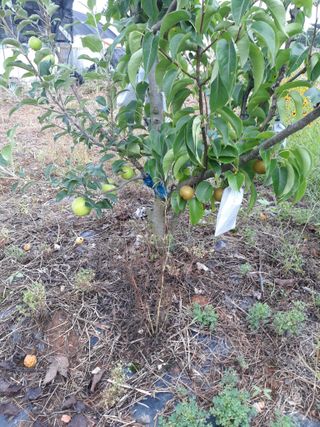 소각섭님의 배 · 일상 작성글 사진