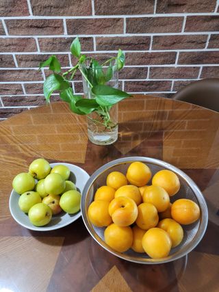 정정숙님의 자유주제 · 자유게시판 작성글 사진