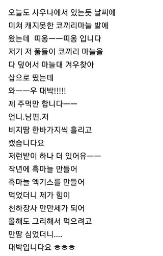 삼성농산님의 마늘 · 일상 작성글 사진