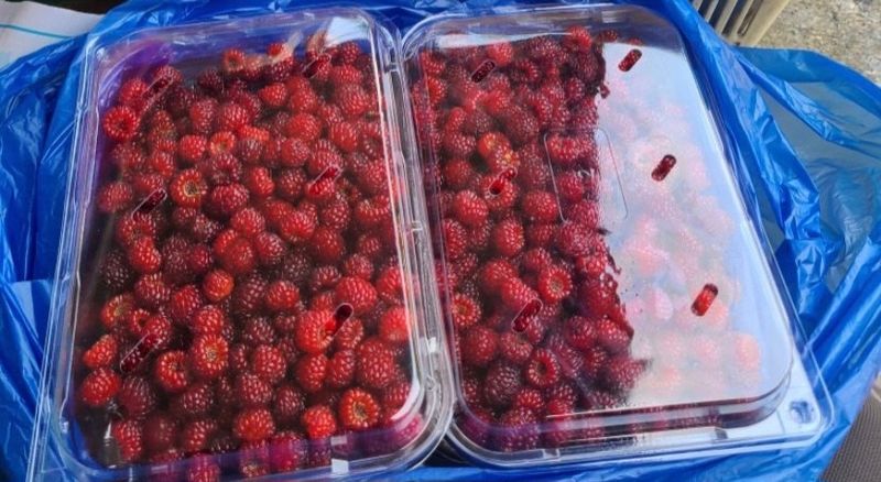 장터 상품 [산딸기 500g] 썸네일