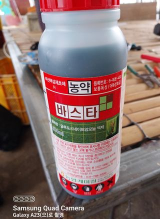 선종이님의 최고의 제초제는 무엇인가요? · 참여 작성글 사진