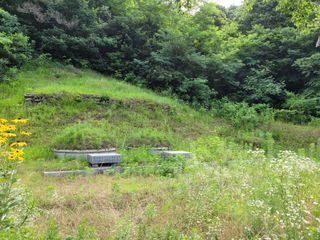 백형석님의 최고의 제초제는 무엇인가요? · 참여 작성글 사진