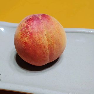 달맛햇복숭아농원님의 복숭아 · 자유게시판 작성글 사진