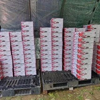 달맛햇복숭아농원님의 복숭아 · 자유게시판 작성글 사진