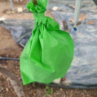 이대영님의 포도 · 영농일지 작성글 사진