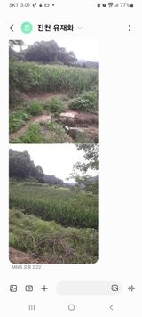 팜모닝 옥수수·영농일지 게시글 이미지