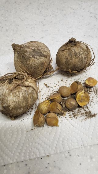 ♡5도2촌pys♡님의 자유주제 · 자유게시판 작성글 사진