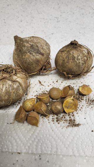 ♡5도2촌pys♡님의 자유주제 · 자유게시판 작성글 사진