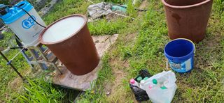 감자1963초보농부님의 고추 · 일상 작성글 사진