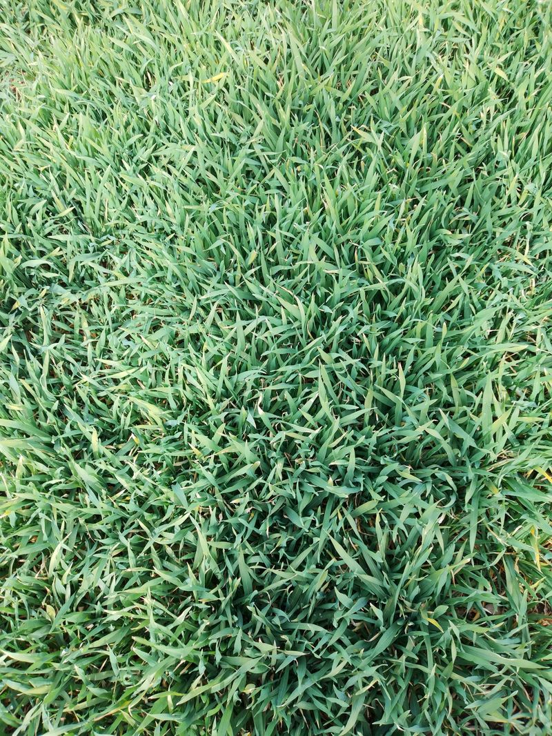 장터 상품 [밝은소식식품] 썸네일