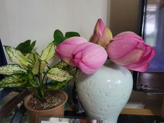 체리123님의 자유주제 · 자유게시판 작성글 사진