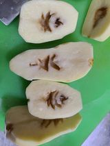 팜모닝 감자·자유게시판 게시글 이미지