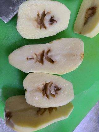 미소님의 감자 · 자유게시판 작성글 사진