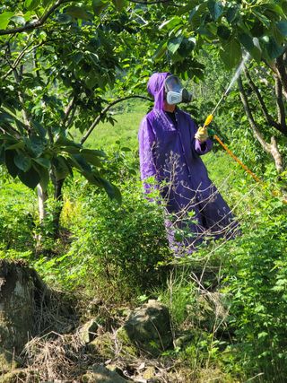 서성환님의 작성글 사진
