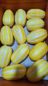 팜모닝 장터이야기·자유게시판 게시글 이미지