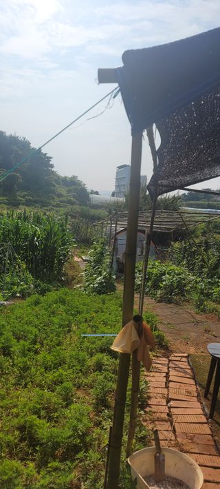 송인만님의 최고의 제초제는 무엇인가요? · 참여 작성글 사진