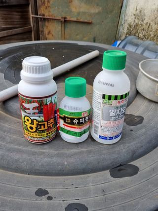 김 기 동님의 벼 · 영농일지 작성글 사진