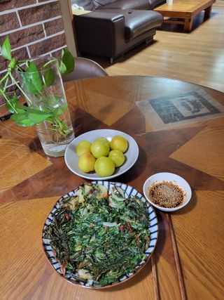 정정숙님의 자유주제 · 자유게시판 작성글 사진