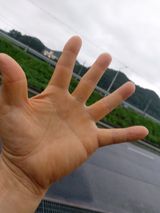 팜모닝 최고의 제초제는 무엇인가요?·참여 게시글 이미지