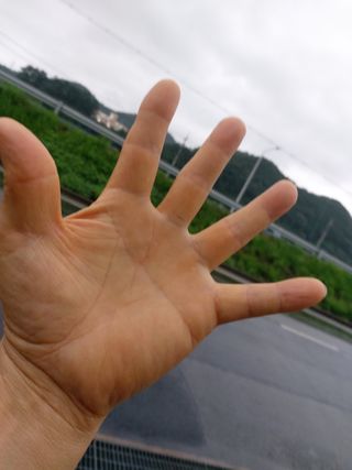 현재어디야님의 최고의 제초제는 무엇인가요? · 참여 작성글 사진