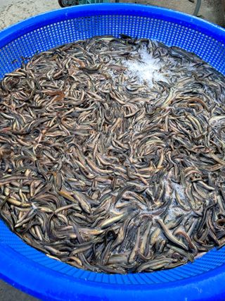 김석현님의 작성글 사진