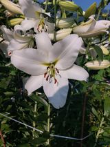 팜모닝 자유주제·자유게시판 게시글 이미지