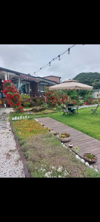 김충구내 집 예쁘게님의 자유주제 · 자유게시판 작성글 사진