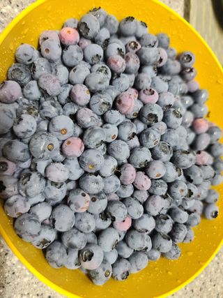 홍천산채농원 조원영님의 자유주제 · 자유게시판 작성글 사진