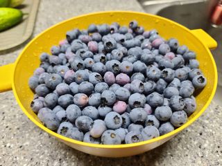 홍천산채농원 조원영님의 자유주제 · 자유게시판 작성글 사진