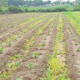 김영준님의 자유주제 · 자유게시판 작성글 사진