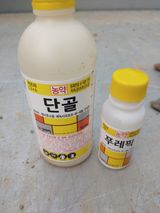 팜모닝 최고의 제초제는 무엇인가요?·참여 게시글 이미지