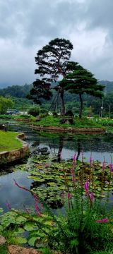 팜모닝 자유주제·사진전 게시글 이미지