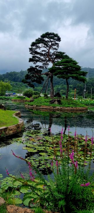 템즈님의 자유주제 · 사진전 작성글 사진