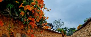 템즈님의 자유주제 · 사진전 작성글 사진