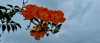 템즈님의 자유주제 · 사진전 작성글 사진