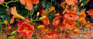 템즈님의 자유주제 · 사진전 작성글 사진