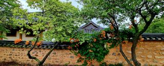 템즈님의 자유주제 · 사진전 작성글 사진