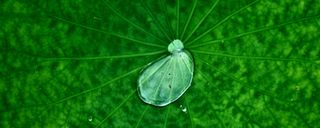 템즈님의 자유주제 · 사진전 작성글 사진