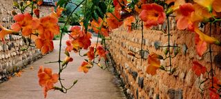 템즈님의 자유주제 · 사진전 작성글 사진